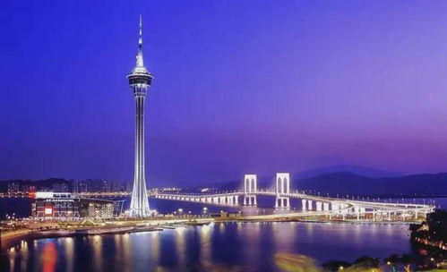 澳门最精准免费资料大全旅游景点|探索未来教育新趋势_K.3.303
