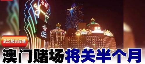 澳门6合玩法规则说明|月夜下的星辰与梦想_Z.2.421