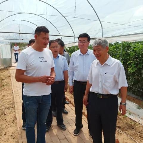 新澳资料正版免费资料|实地数据解释落实_试用版.5.31