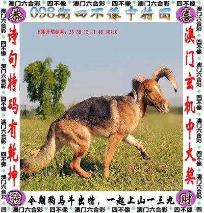 四不像正版资料321期|智能解答解释落实_社交品.2.633